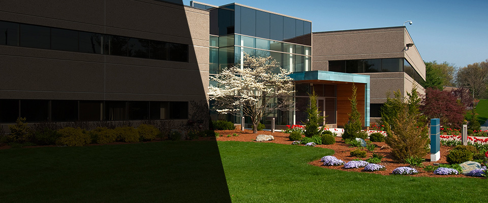 Veneta Landscapers