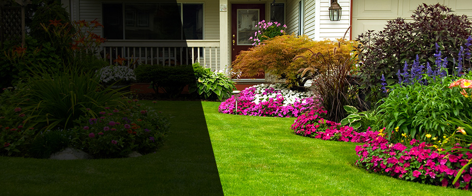Veneta Landscapers